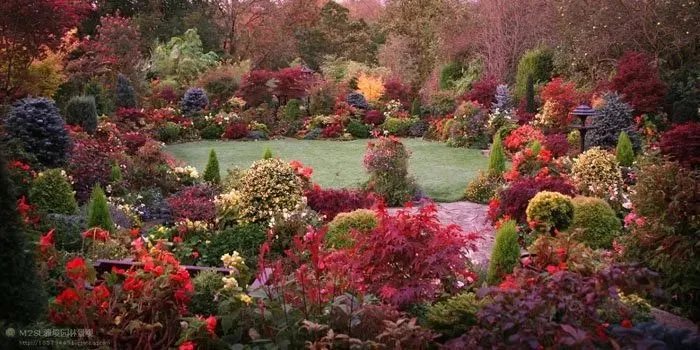 原创:花境按植物材料的分类及各自优缺点