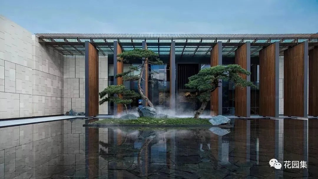 造型松，无奇不自由！气质庭院必备元素