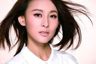 对于贾青就在公路中拍照发文道歉一事，你怎么看？