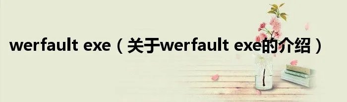 werfault exe（关于werfault exe的介绍）