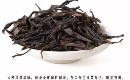 中国茶叶的排名是什么?珍贵的茶叶品种有哪些?
