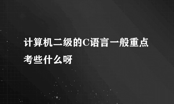 计算机二级的C语言一般重点考些什么呀
