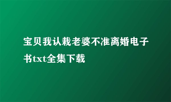 宝贝我认栽老婆不准离婚电子书txt全集下载