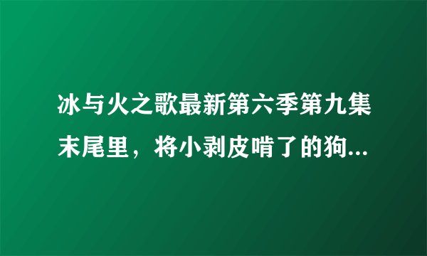 冰与火之歌最新第六季第九集末尾里，将小剥皮啃了的狗是啥品种？