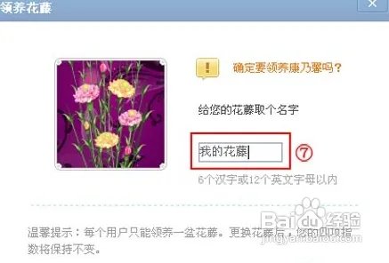 qq空间花藤怎么弄出来方法