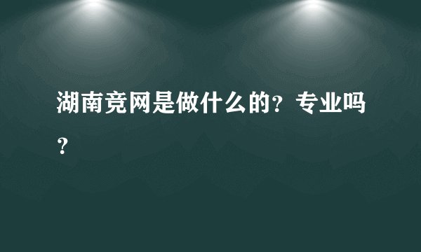 湖南竞网是做什么的？专业吗？