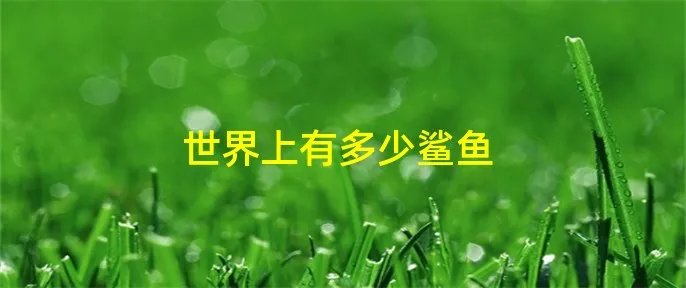 世界上有多少鲨鱼