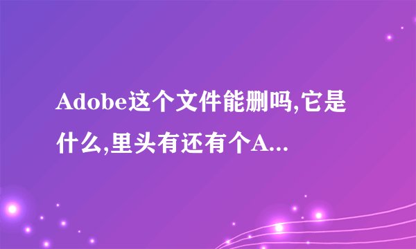 Adobe这个文件能删吗,它是什么,里头有还有个Acrobat 7.0的文件夹