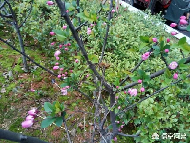 成为流浪汉是什么体验？