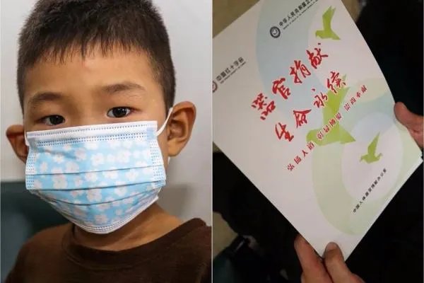 5岁病重孩子主动提出做器官捐献了?
