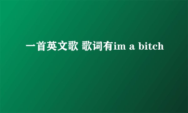 一首英文歌 歌词有im a bitch