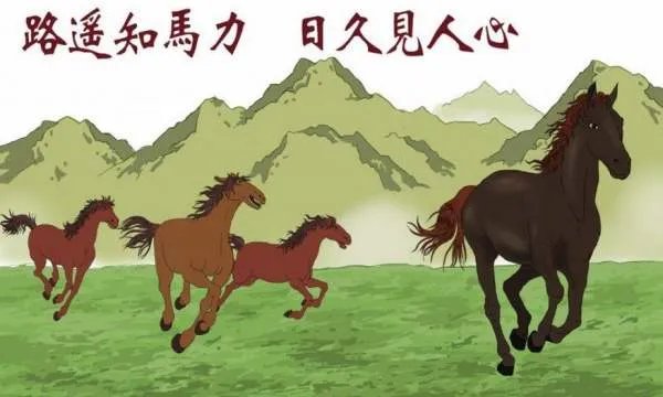 路遥之马力下一句是什么？