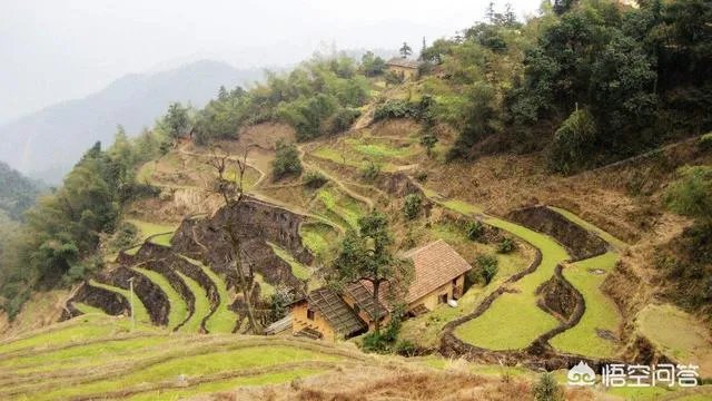 财会怎么学习？