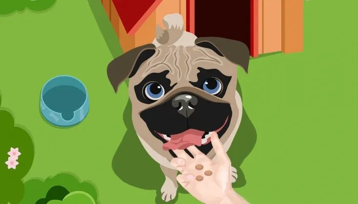 茶杯犬能活多久