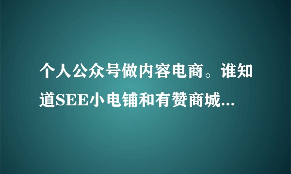 个人公众号做内容电商。谁知道SEE小电铺和有赞商城有什么区别吗？选哪个好？