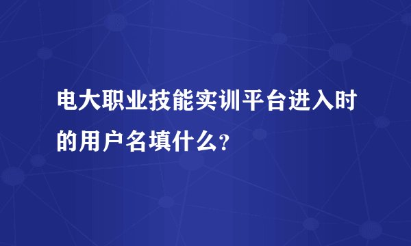 电大职业技能实训平台进入时的用户名填什么？