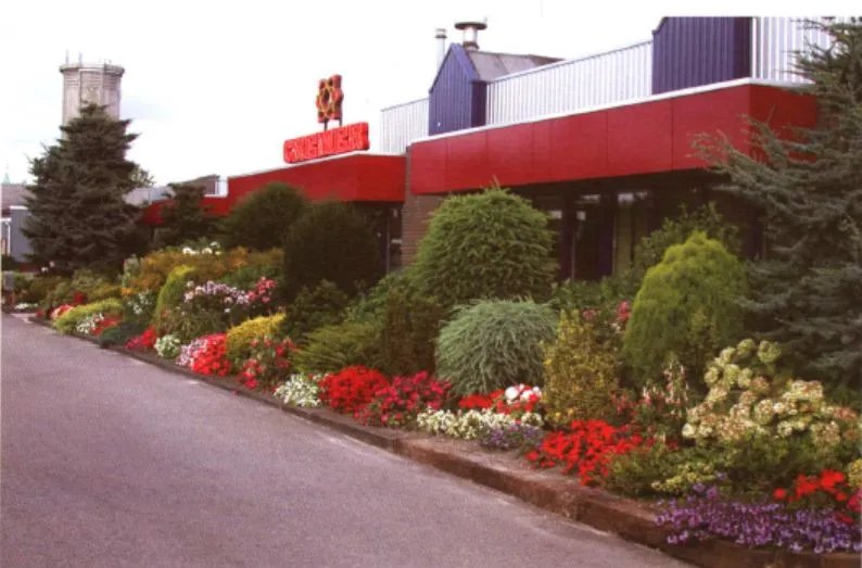 原创:花境按植物材料的分类及各自优缺点