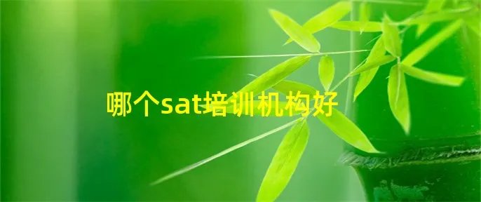哪个sat培训机构好