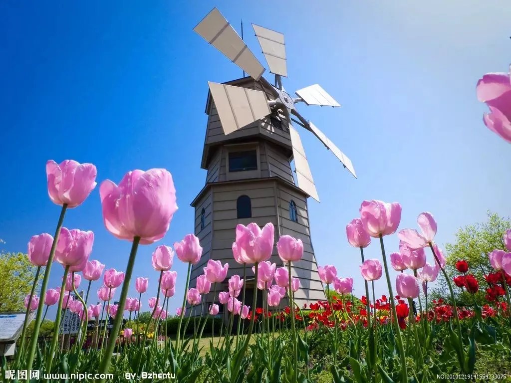 原创:花境按植物材料的分类及各自优缺点