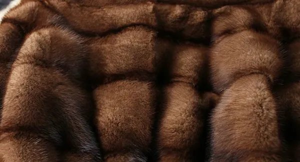 夹革水貂什么意思