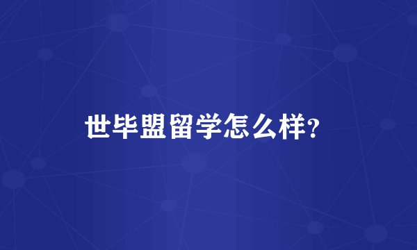 世毕盟留学怎么样？