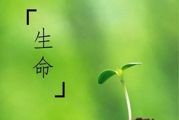 汉堡王用过期面包做汉堡，吃过期食品会对人体造成啥伤害？