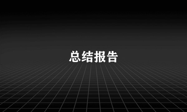 总结报告