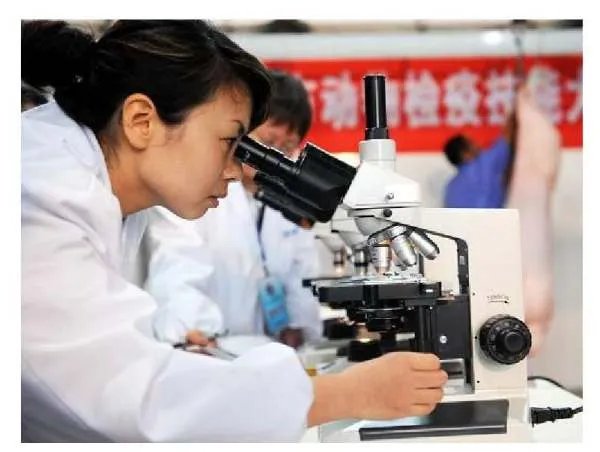 江西网购南美冻虾检出病毒，为啥南美冻虾频频出事儿？