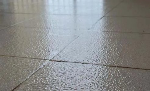 南方多地进入回南天,回南天要注意什么?