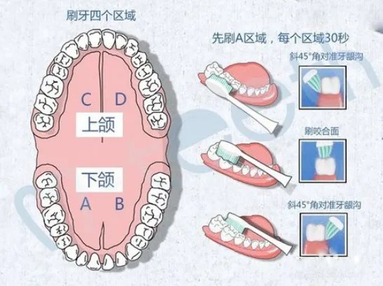 舒客电动牙刷如何使用？