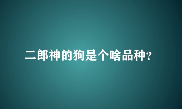 二郎神的狗是个啥品种？