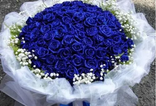 999朵玫瑰花代表什么 玫瑰花送几朵代表什么