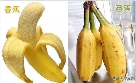 香蕉和芭蕉怎么区别？