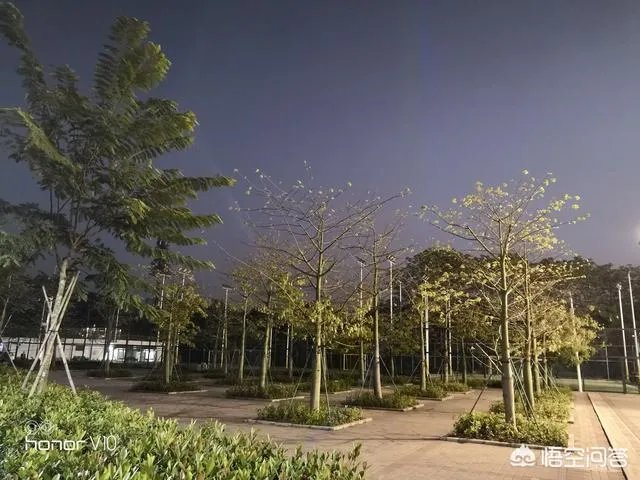 小米6和荣耀v10买哪个好？