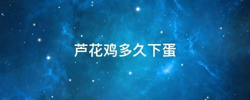 芦花鸡多久下蛋