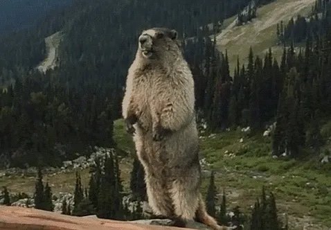 中产阶层为何得不到好的装修服务？