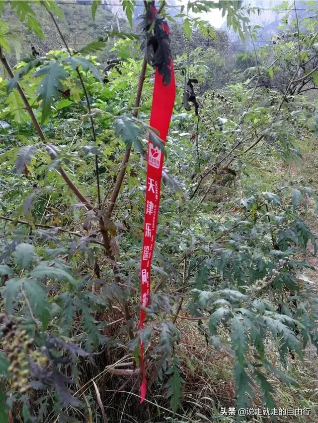 驴友拿出她的吃的跟我们分享