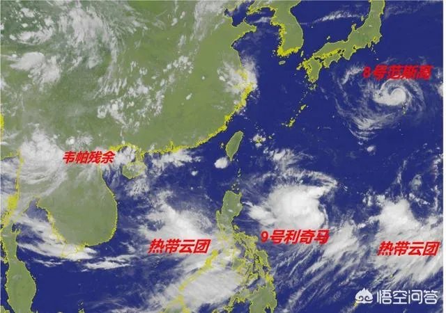 今年第5号、6号台风几乎同时生成,台风形成的原因是什么?