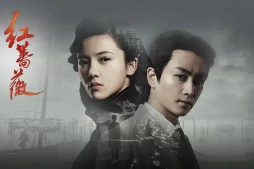 红蔷薇这首歌表达了什么