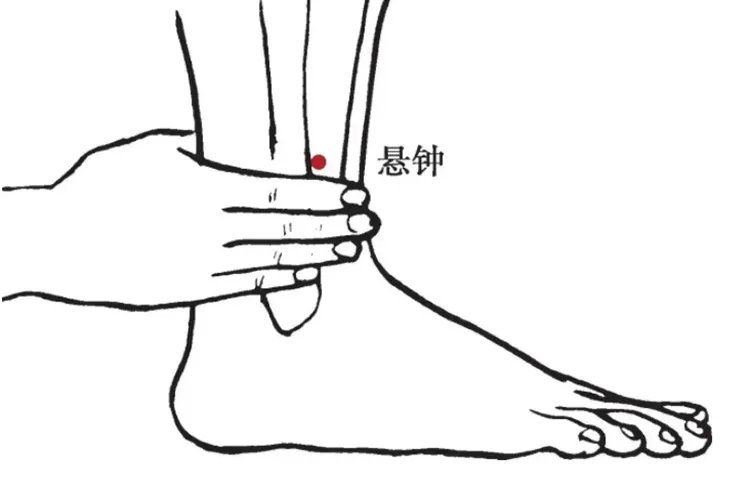 悬钟在哪个位置图