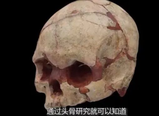 广西发现16000年前的人头骨化石,有可能就是我们真正的祖先吗?