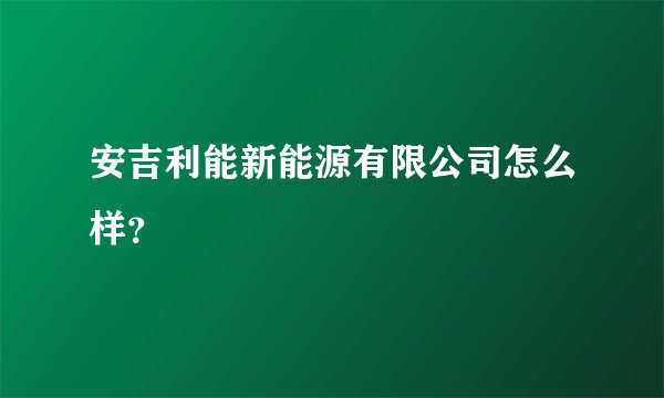 安吉利能新能源有限公司怎么样？