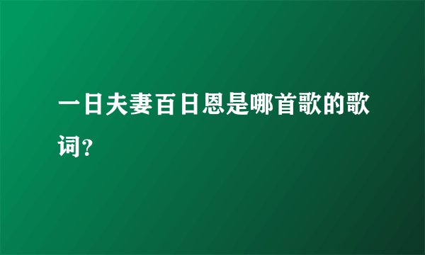 一日夫妻百日恩是哪首歌的歌词？