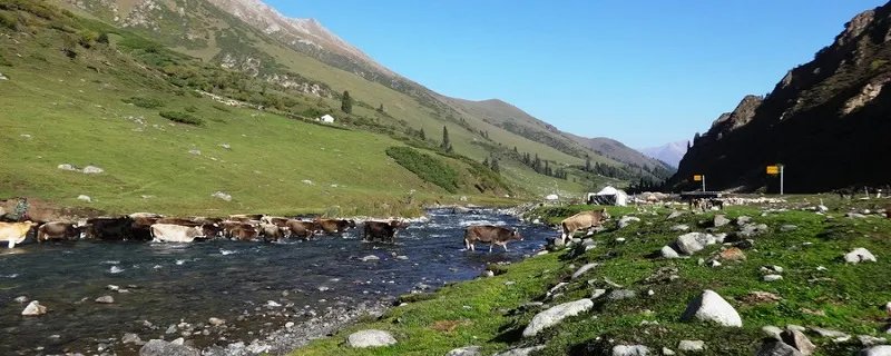 中国最长的三条河流 中国最长的三条河流分别是哪三条