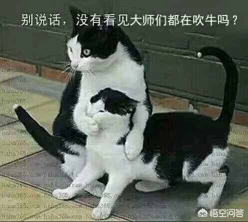 喝冰啤酒是不是对身体不好？为什么有些人喝冰啤酒的时候感觉特别爽呢？