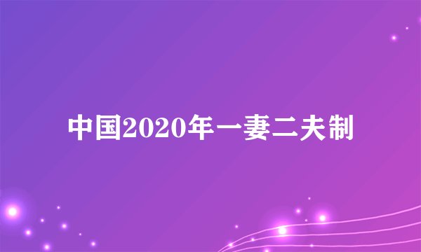 中国2020年一妻二夫制