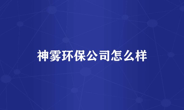 神雾环保公司怎么样