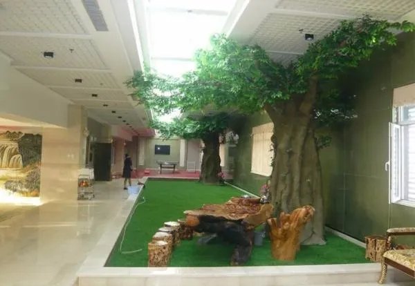 榕树有什么象征意义