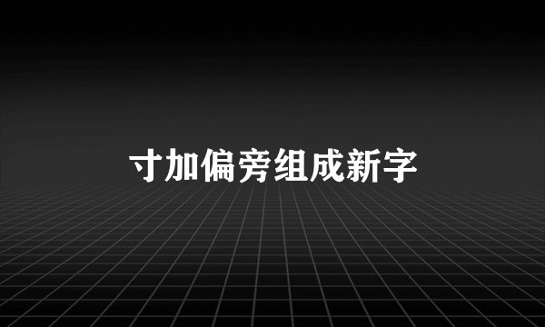寸加偏旁组成新字