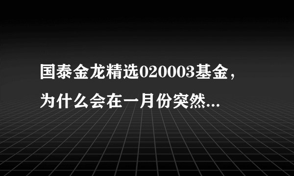 国泰金龙精选020003基金，为什么会在一月份突然跌下去那么多呢？后期走势如何?定投的风险大吗？